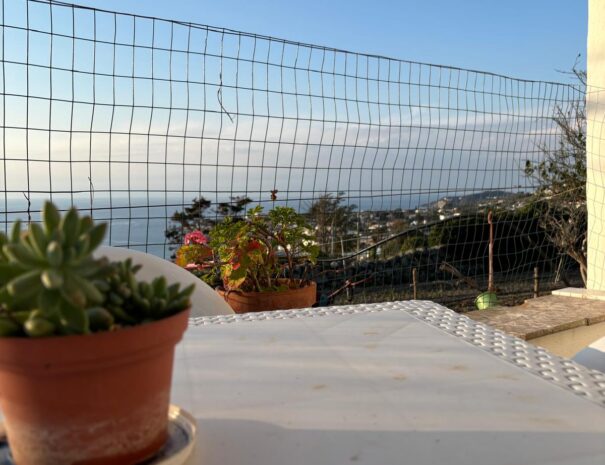 PHOTO-2026-03-23-18-36-42-5