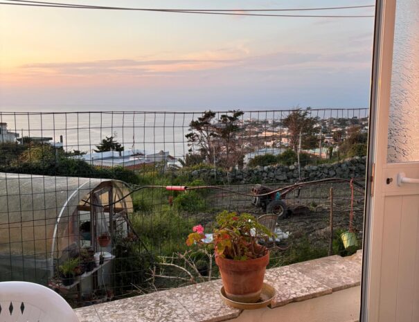 PHOTO-2026-03-23-18-36-45-5