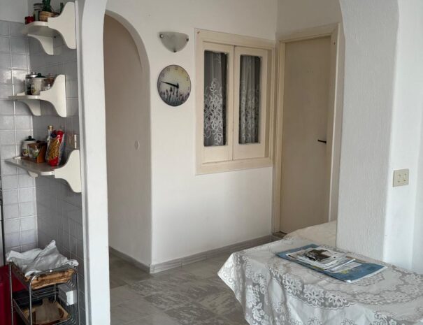 PHOTO-2026-03-24-18-16-21-4