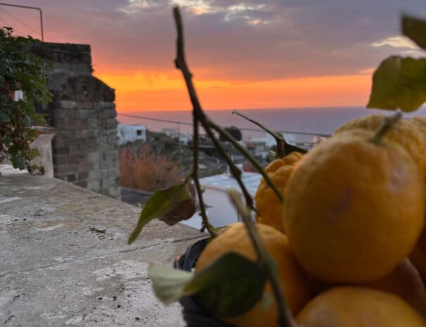 PHOTO-2026-03-24-18-16-26-2