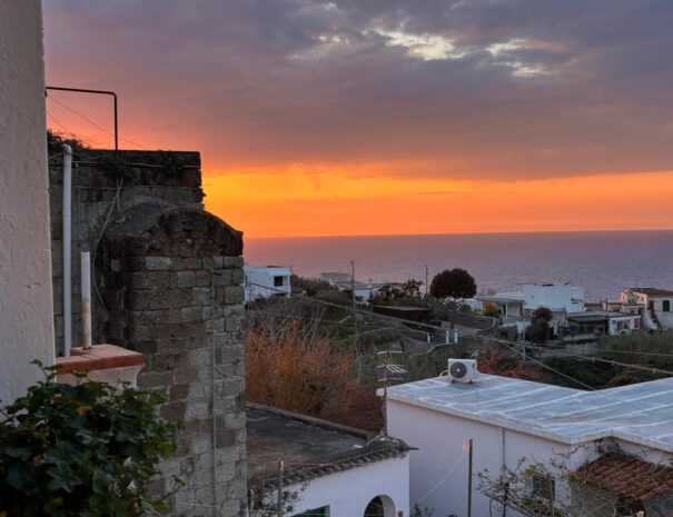 PHOTO-2026-03-24-18-16-26-3